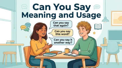 can you say and also usage