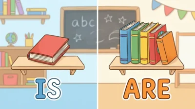 is vs are usage