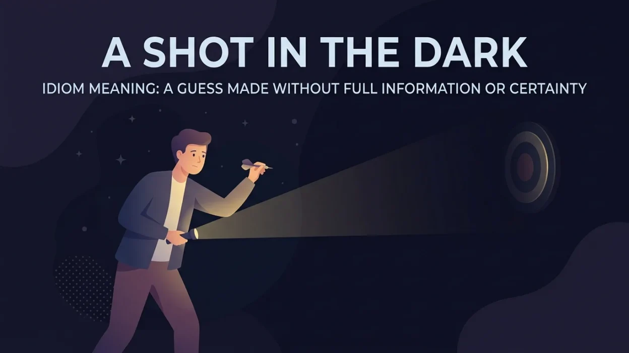 a shot in the dark meaning