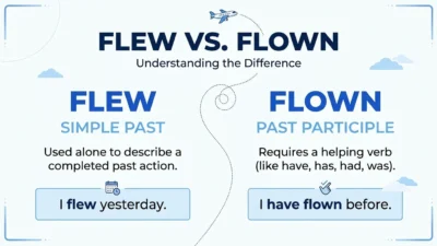 flew vs flown