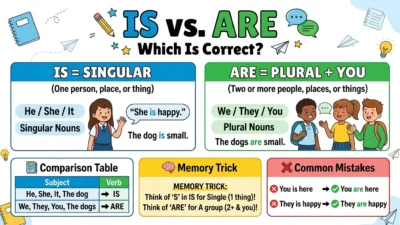 is vs are