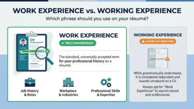 work experience vs working experience